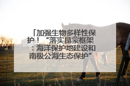 加强生物多样性保护！“落实昆蒙框架：海洋保护地建设和南极公海生态保护”主题论坛将举办